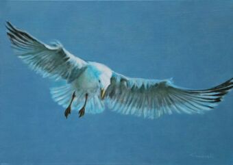 Möwe 5 , Öl auf Leinwand , 50 x 70 cm , ©2013 Heino Karschewski