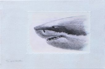 Zeichnung bondiert auf Leinwand: Hai , © Heino Karschewski