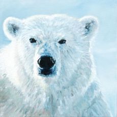 Eisbär-Kopf , Öl auf Leinwand , 40 x 40 cm , ©2017 Heino Karschewski