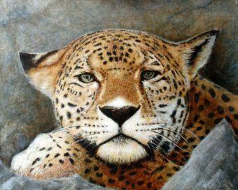 Auftrag: Jaguar , 40 x 50 cm , ©2006 Heino Karschewski