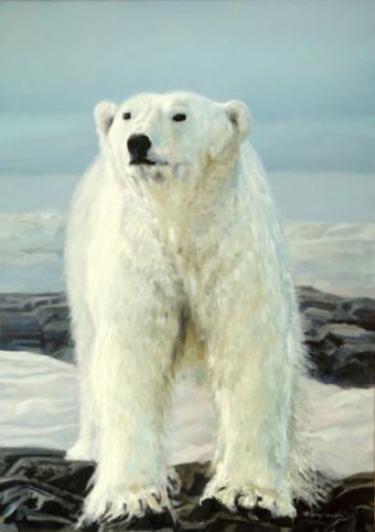 Eisbär an Land , Öl auf Leinwand , 70 x 50 cm , ©2017 Heino Karschewski